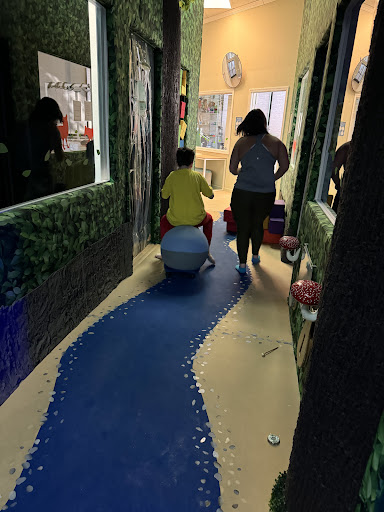 Sensory Innovations Breslin Occupational Therapy Services 20250727 032912 006