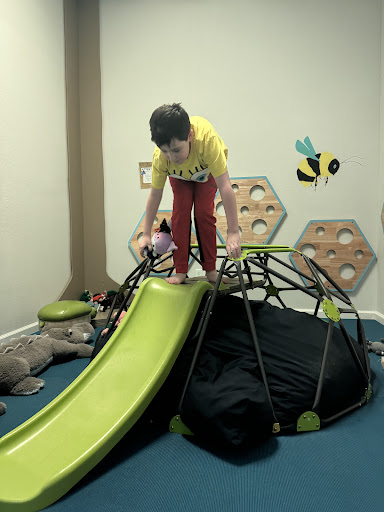 Sensory Innovations Breslin Occupational Therapy Services 20250727 032913 008