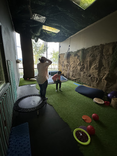 Sensory Innovations Breslin Occupational Therapy Services 20250727 032918 014