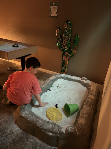 Sensory Innovations Breslin Occupational Therapy Services 20250727 032920 016