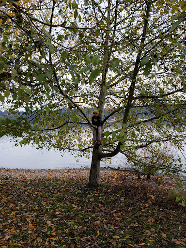 Seward Park Playground 20250727 120435 005