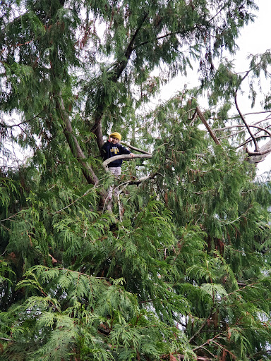 Seward Park Playground 20250727 120436 006