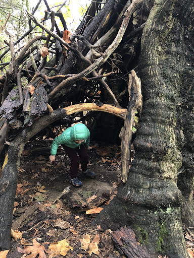 Seward Park Playground 20250727 120438 008