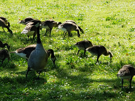 Seward Park Playground 20250727 120442 012