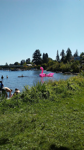 Seward Park Playground 20250727 120443 013