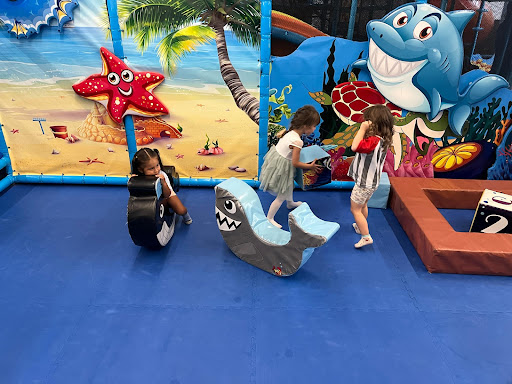 Sharky s Playground 20250727 064558 013
