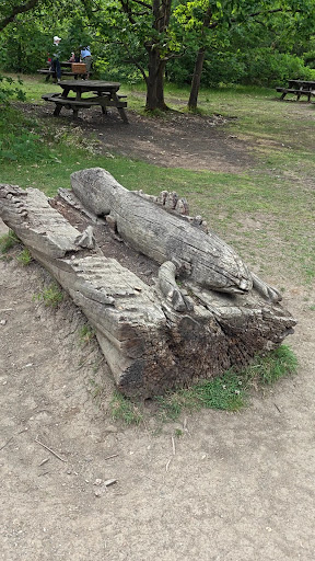 Shorne Woods Country Park 20250808 190100 001