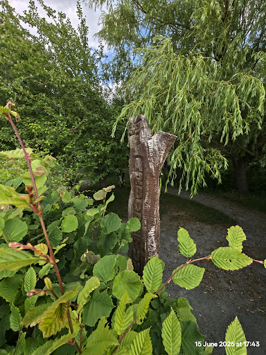 Shorne Woods Country Park 20250808 190101 002