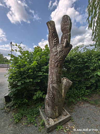 Shorne Woods Country Park 20250808 190102 003