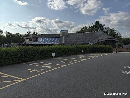 Shorne Woods Country Park 20250808 190103 004