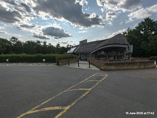 Shorne Woods Country Park 20250808 190105 006