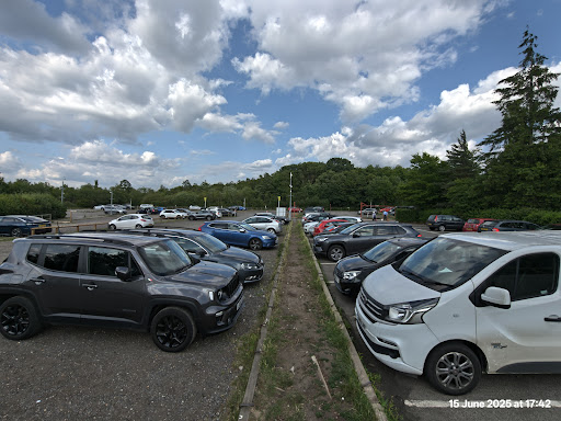 Shorne Woods Country Park 20250808 190105 007