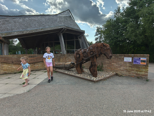 Shorne Woods Country Park 20250808 190107 009