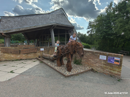 Shorne Woods Country Park 20250808 190108 010