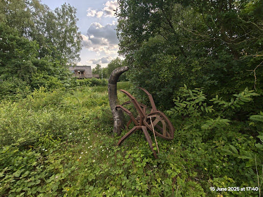 Shorne Woods Country Park 20250808 190109 011