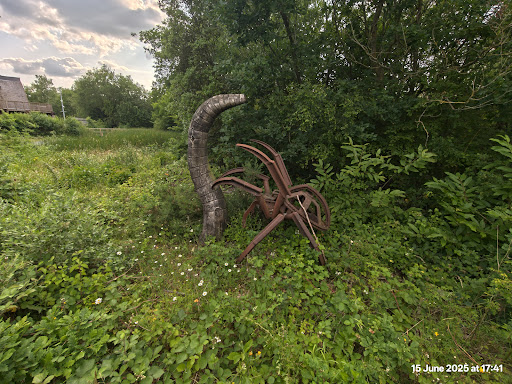 Shorne Woods Country Park 20250808 190110 012