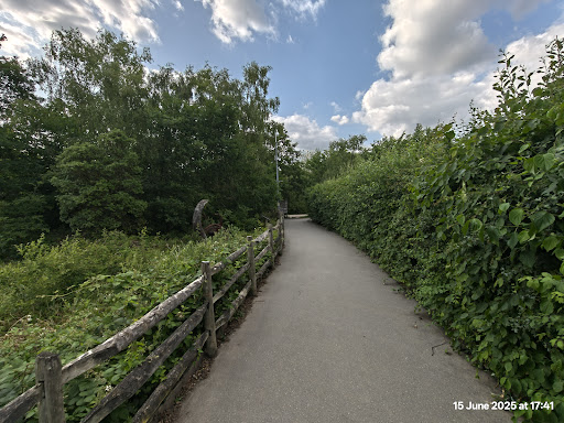 Shorne Woods Country Park 20250808 190111 013