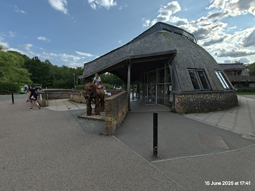 Shorne Woods Country Park 20250808 190111 014