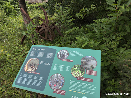 Shorne Woods Country Park 20250808 190114 017