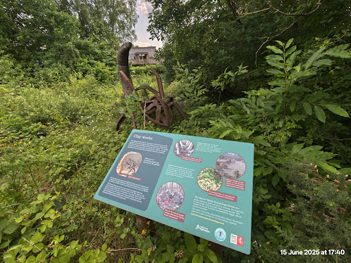 Shorne Woods Country Park 20250808 190115 018