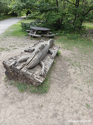 Shorne Woods Country Park 20250808 190116 019