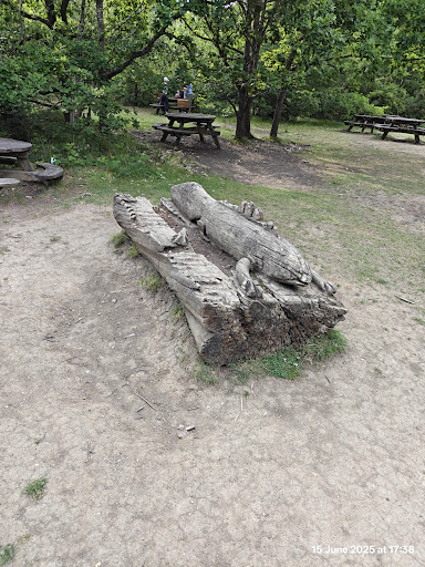 Shorne Woods Country Park 20250808 190117 020