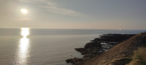 Sidewalk benches 20250808 152757 002