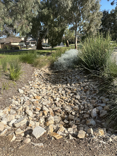 Sierra Nevada Reserve 20250824 014850 002