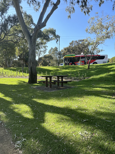 Sierra Nevada Reserve 20250824 014857 011