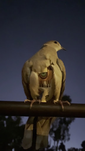 Sixth Avenue Playground 20250726 193926 003