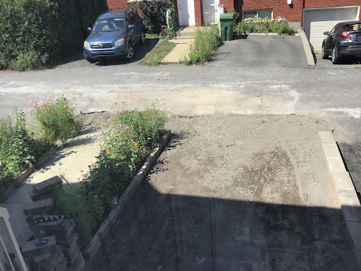 Solution Pavage Asphalte R sidentiel Commercial Institutionnel 20250727 082422 016