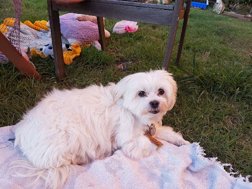 Sophie Purcell Playground 20250824 012522 011