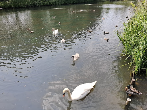 South Park 20250808 165423 004