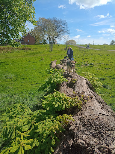 South Park 20250808 165423 005