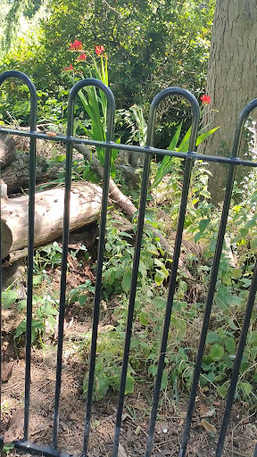 South Park 20250808 165426 008