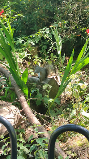 South Park 20250808 165428 010