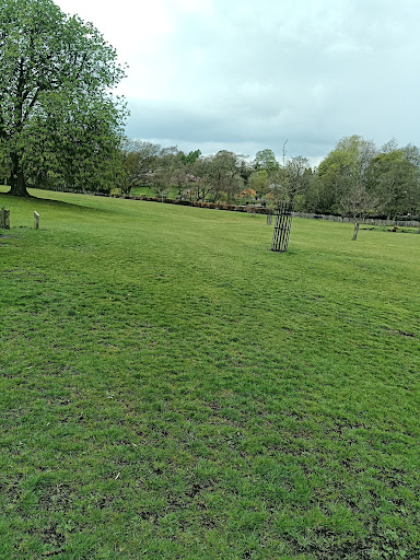 South Park 20250808 165436 020