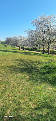 Splashlands 20250808 182724 006