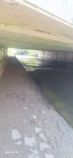 Splashlands 20250808 182727 010