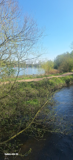 Splashlands 20250808 182728 012