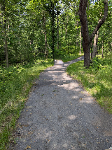 Spring Mills Community Park 20250727 023508 001