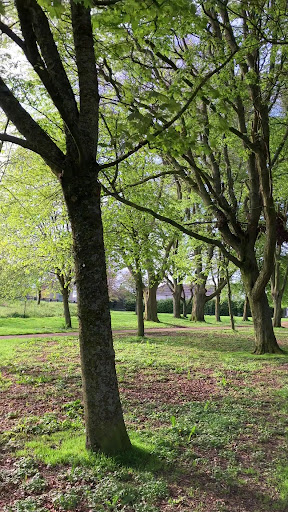 St Helena s Playground 20250819 222754 020