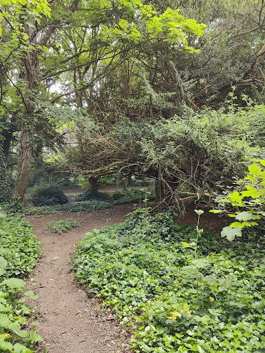 St Anne s Park Playground 20250819 224023 001