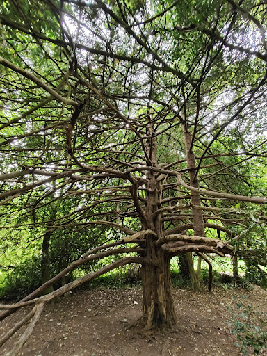 St Anne s Park Playground 20250819 224024 002