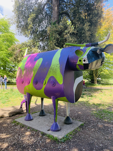 St Anne s Park Playground 20250819 224034 012