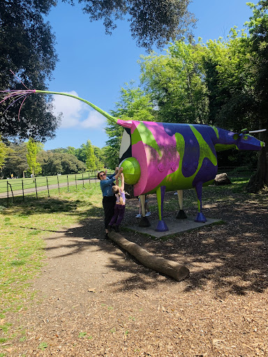 St Anne s Park Playground 20250819 224035 013