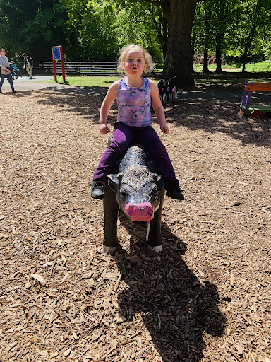 St Anne s Park Playground 20250819 224037 015