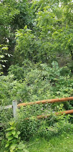 Standing Bear Playground 20250727 040659 003