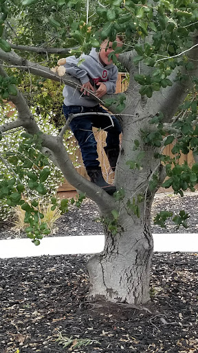 Sterling Barnhart Park 20250727 113316 012