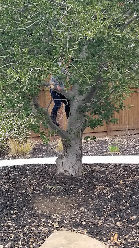 Sterling Barnhart Park 20250727 113320 016